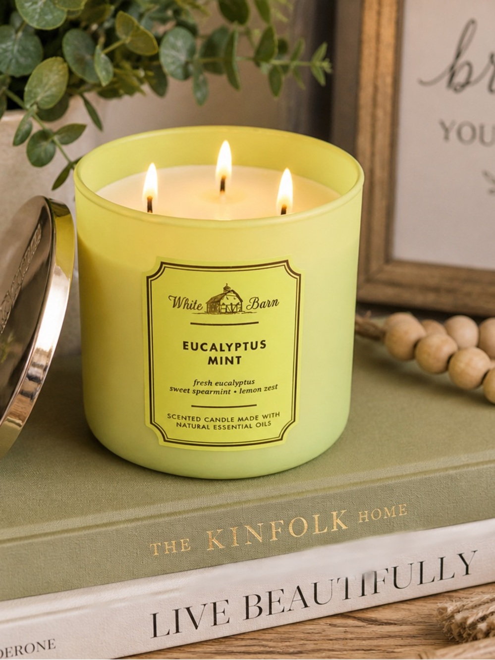 RARE RETIRED Bath & Body Works White Barn Eucalyptus Mint 3-Wick Candle